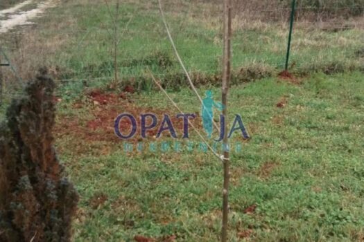 Lands Babići, Umag, 600m2 1734014338 img 20241209 194201