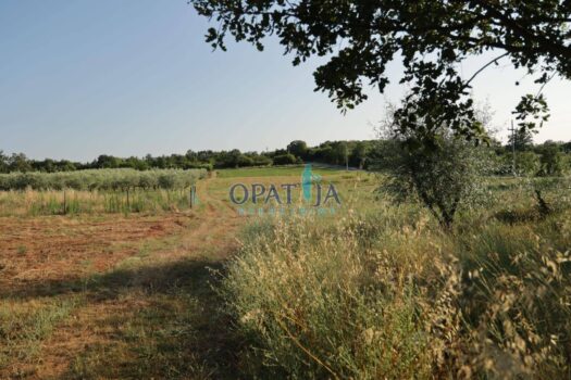 Lands Radmani, Poreč, 11.530m2 1734447761 img 20241216 wa0003