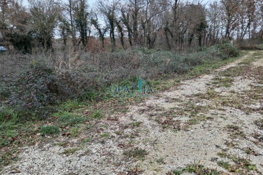 Lands Poreč, 346m2 1734455966 img 20241214 150619