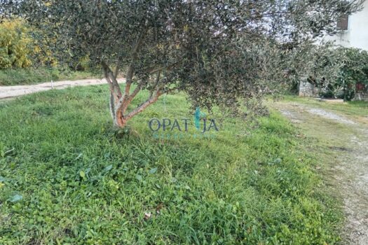 1734891708 img 20241220 111844