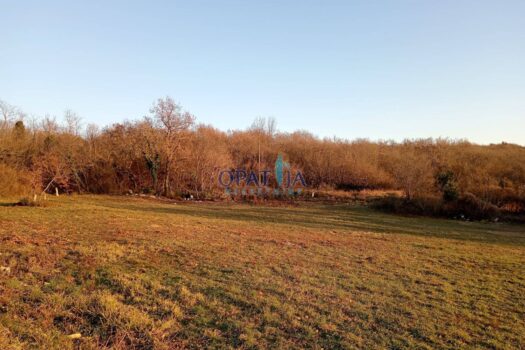 1738927489 img 20250207 095944