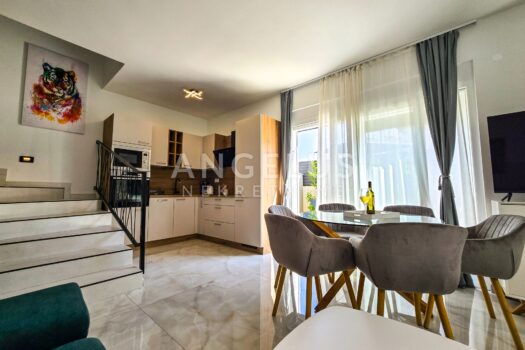 1739869204 aco kuca 2 41