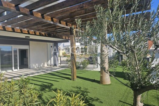 1740487783 photo 2025 02 24 13 48 00 2 1