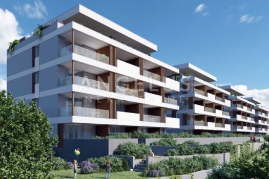 1742990831 img 8500 2