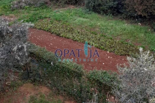 1744566330 img 20250413 190411