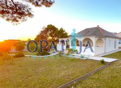 1746276912 vir alona5 940 k4577