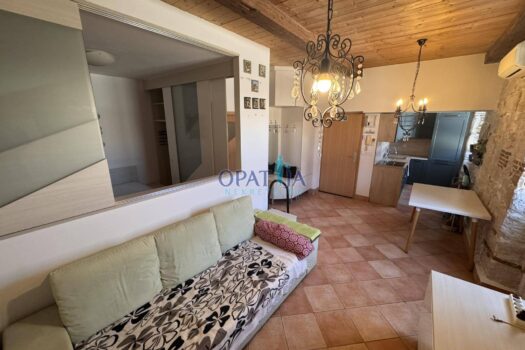 1747231824 1000021571