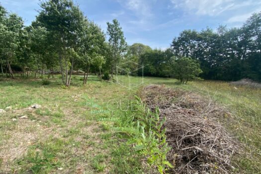 1747729474 img 20250519 wa0001