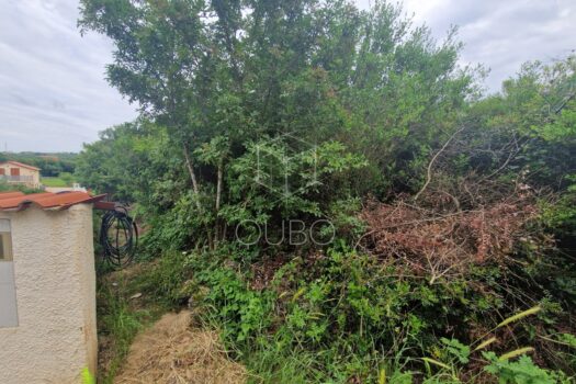 1748427592 20250520 133201