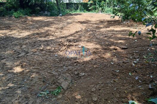 1749124641 1000022018 1600x1200