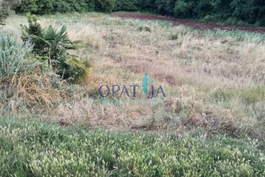 1750254996 1000022333 1047x1200