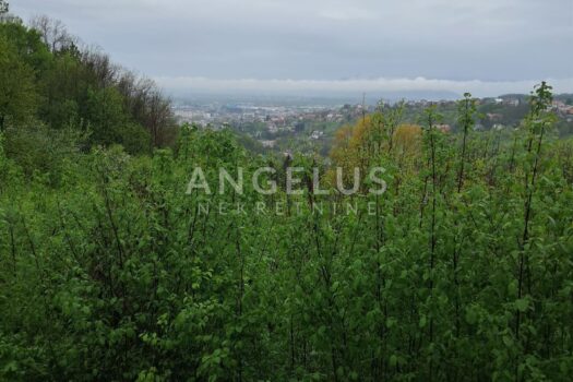 1751483871 img 20250415 wa0008