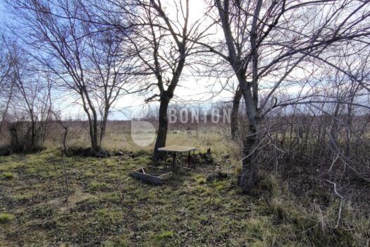 1751979962 1a4e6343 139e 4a02 8693 29fc54ee314d