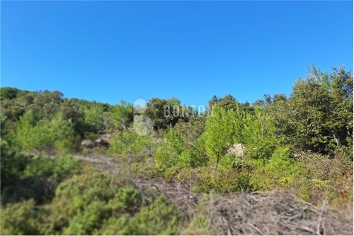 1752010524 l 1fe7017569f1418e8390b9b68143c9fb