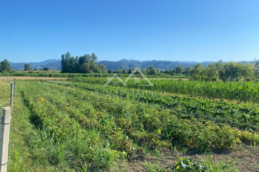 1752075911 b153bf50 91af 4d8b a4a9 875769388bfd