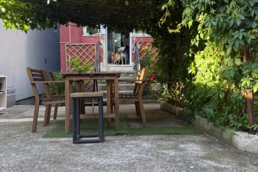 1752081233 1000006815