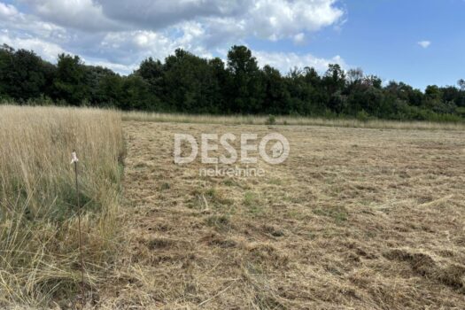 1752488661 img 3dbc7aa8227b50df30f0ad755995ab19 v