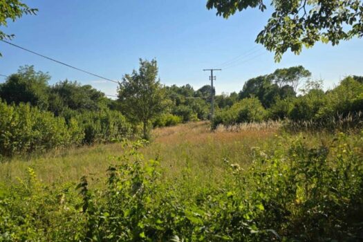 1752661441 1000007682