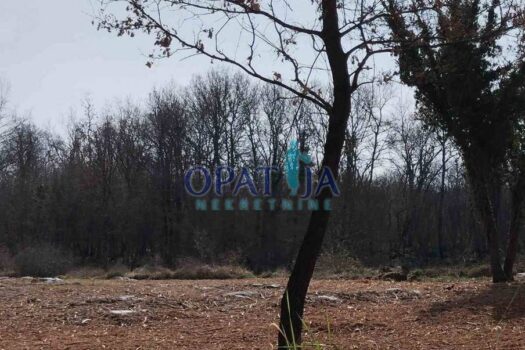 1752737871 1d67406d ae86 445e b4c9 1cbd067ac718 904x1200