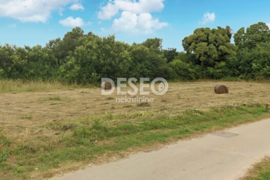 1753176586 img 20250722 111339