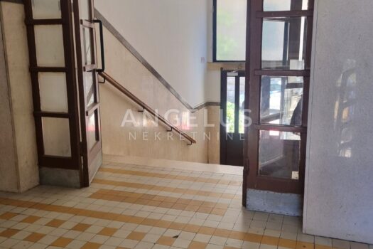 1753183707 1000131363 1