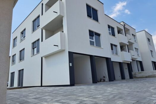 1753532719 stan medulin 56