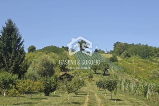 1753694568 img 20250728 wa0001