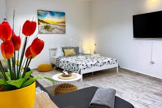 1753706161 554052376