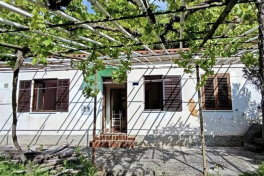 1753711230 1000009086