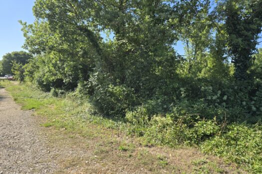 1753861120 1000009255