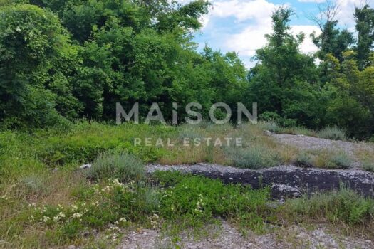 1753862284 1753861506341