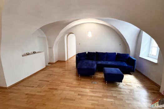 Wohnraum mit Gewölbedecke