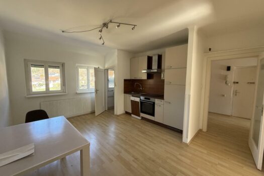 20250321_085427850_iOS