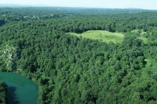 Screenshot 2025-06-26 181212