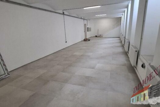 20250602_134926_resized