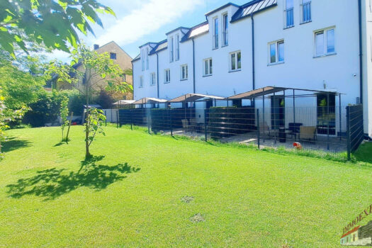 20240506_104818_resized_DxO