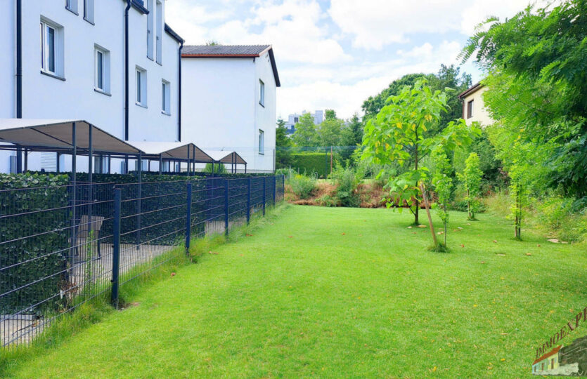 20240623_134130_resized_DxO