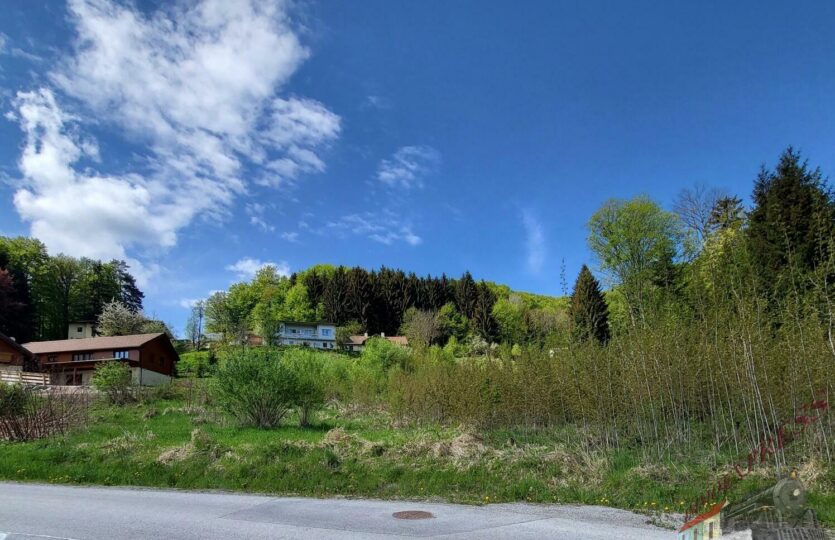 20220505_105959_resized_1