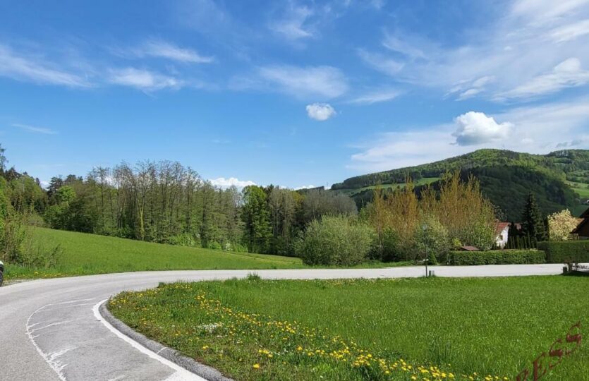 20220505_110052_resized_1