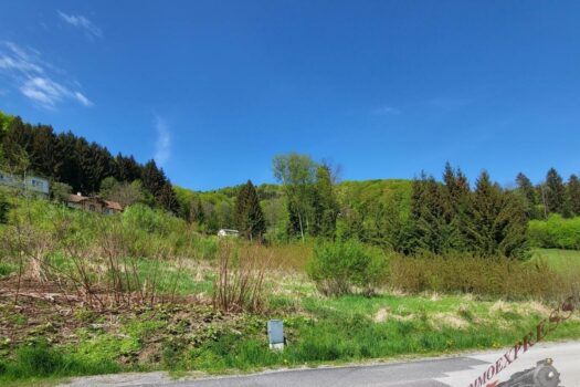 20220505_110204_resized_1