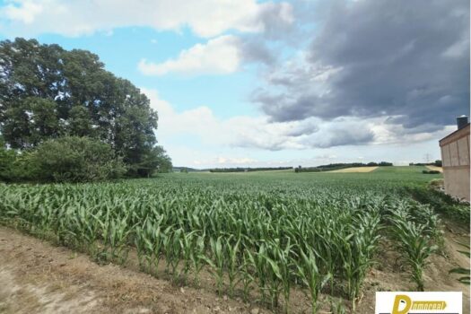 1aIe1bxHXKTItj1klEQFVA