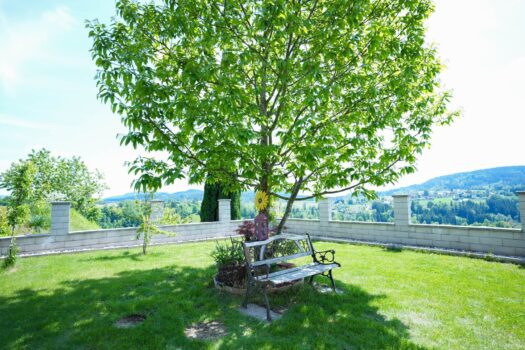 27NHzTSdYt5FhCbIkVJtor