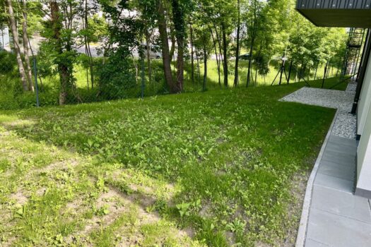 2EEokGOL018sg1a39zjM9E