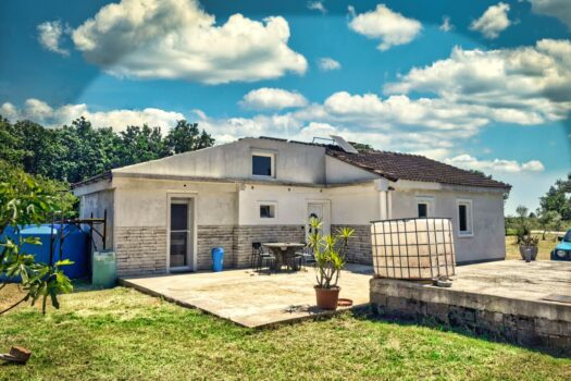 2PopT3whHrHS2QAvWzuzkU