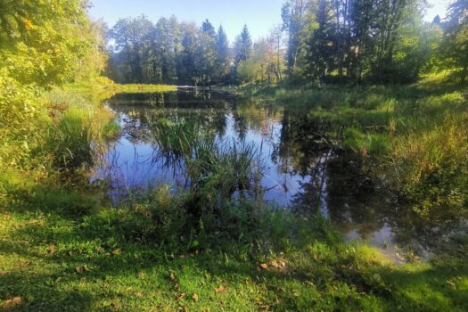 2bJXypkwe56Y1MrYYCnnMV