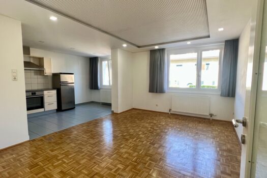 2ycWzzsLYeMejV8p0i04fJ