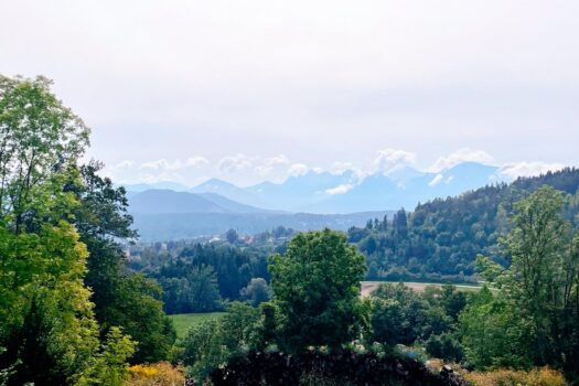 31urxVahHxVMJcQ3kbdQFS