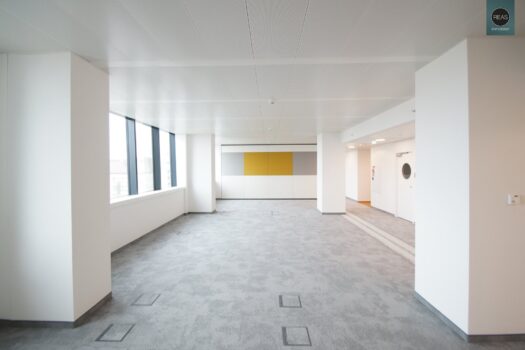 3vp1B8A0lyOFRRRIX3E54o 3