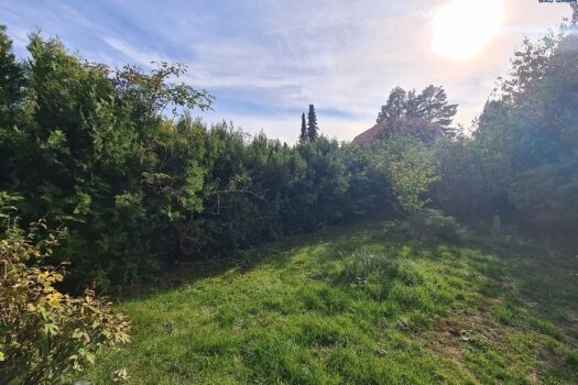 488YeMnOjkn0QzDAk3UZNb