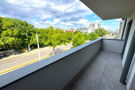 4Crw81lLWj2VYyimExr9b0